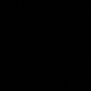 Meet your Posher, Kiara